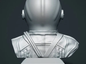 elon musk 3D Print Model