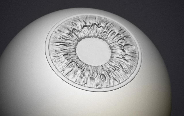human eye 3D Принт Модель .c4d .max .obj .3ds .fbx .stl .blend 