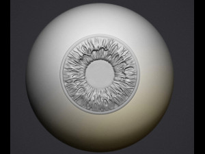 human eye 3D Принт Модель