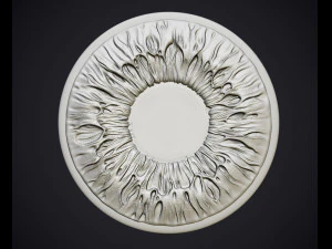 human eye 3D Print Model