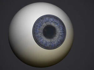 human eye 3D Print Model
