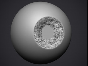 human eye 3D Принт Модель