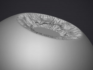 human eye 3D Принт Модель