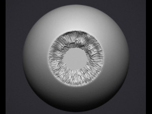human eye 3D Принт Модель
