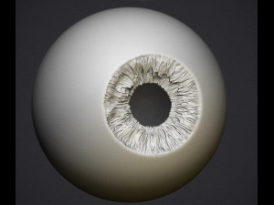 human eye 3D Принт Модель