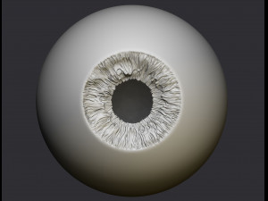 human eye 3D Принт Модель