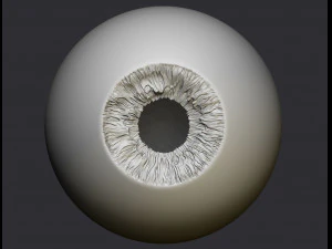 human eye 3D Print Model