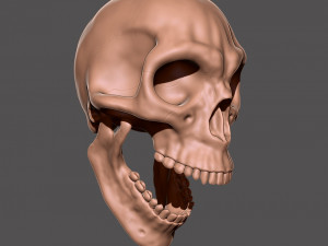 skull 3D 打印模型
