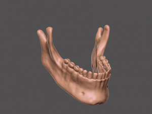 skull 3D 打印模型