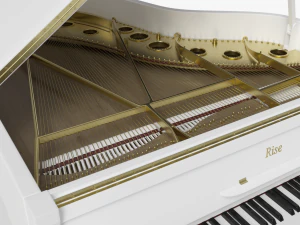 grand piano white 3D Model