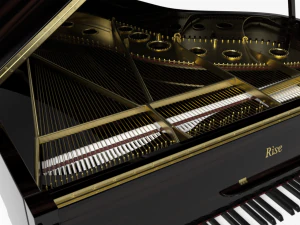 pianoforte a coda Modello 3D