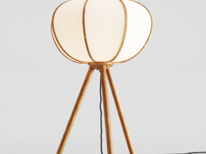 hm bamboo pendant light and floor lamp Modèle 3D