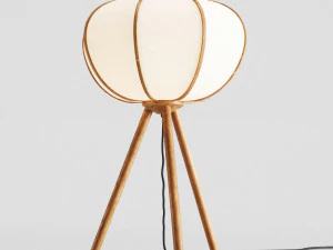 hm bamboo pendant light and floor lamp 3D Model