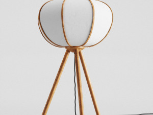 hm bamboo pendant light and floor lamp Modèle 3D