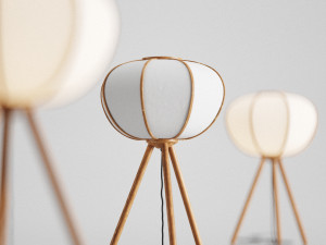 hm bamboo pendant light and floor lamp Modèle 3D