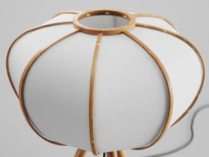 hm bamboo pendant light and floor lamp 3D Model