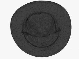 leather hat 3D 모델
