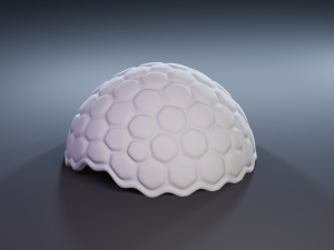 turtle 3D Принт Модель