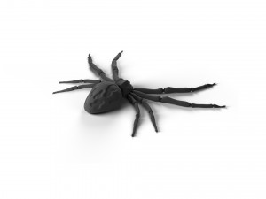 flexi spider 3Dプリントモデル