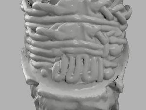 testa di moro 3D Print Model