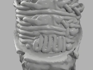 testa di moro 3D Print Model