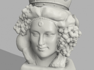 testa di moro femminile modellata con meshmixer 3D 打印模型