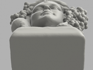 testa di moro femminile modellata con meshmixer 3D-printmodel