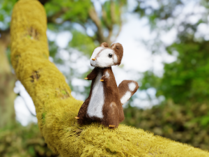 squirrel 3Dモデル