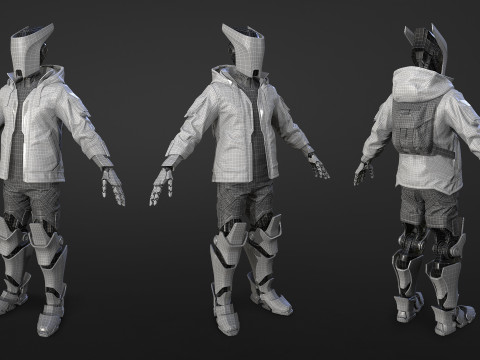Robot Hornet Modèle 3D