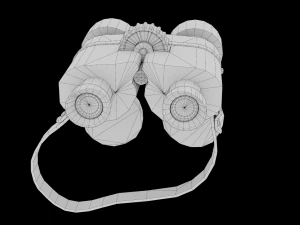 Binocular 3D Model