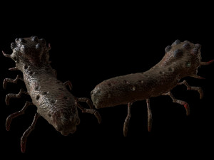 the mutant worm Modelo 3D