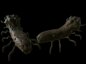the mutant worm Modelo 3D