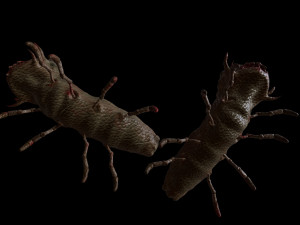 the mutant worm Modelo 3D