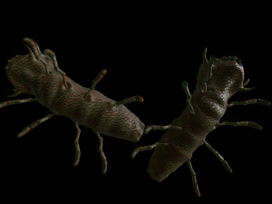 the mutant worm Modelo 3D