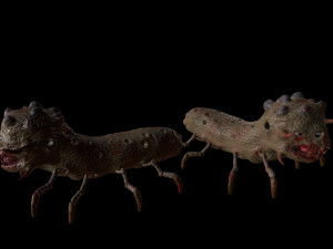 the mutant worm Modelo 3D