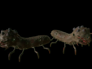 the mutant worm Modelo 3D