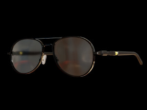 Sunglasses 3D 模型
