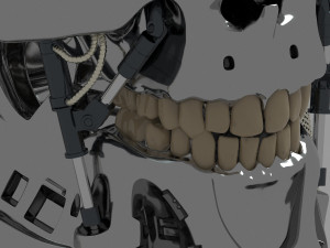 Terminator T-800 Skull Model 3D