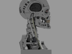 Terminator T-800 Skull 3D Model