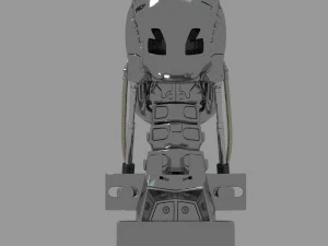 Terminator T-800 Skull 3D Model