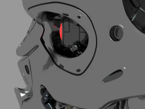 Terminator T-800 Skull 3D Model