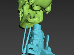 Terminator T-800 Skull 3D Model