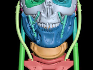 T-800 Skull Terminator 2 Judgment Day 3D Print Model