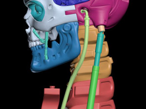 T-800 Skull Terminator 2 Judgment Day 3D Принт Модель