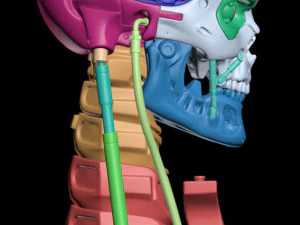 T-800 Skull Terminator 2 Judgment Day 3D Print Model