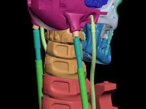 T-800 Skull Terminator 2 Judgment Day 3D Print Model