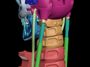 T-800 Skull Terminator 2 Judgment Day 3D Print Model