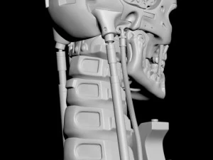T-800 Skull Terminator 2 Judgment Day V2 Replica 3D Print Model