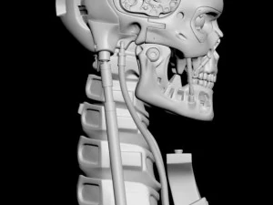 T-800 Skull Terminator 2 Judgment Day V2 Replica 3D Print Model