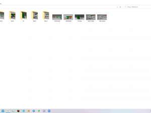 tree pack Modelo 3D